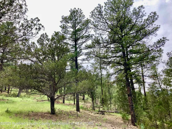 145 Antler Dr, Alto, NM 88312