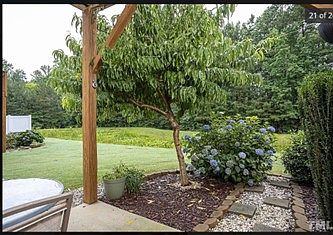 Back patio garden and wetland