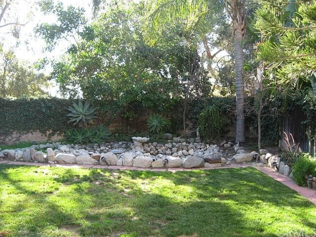 SPACIOUS BACK YARD WITH MANY FRUIT TREES