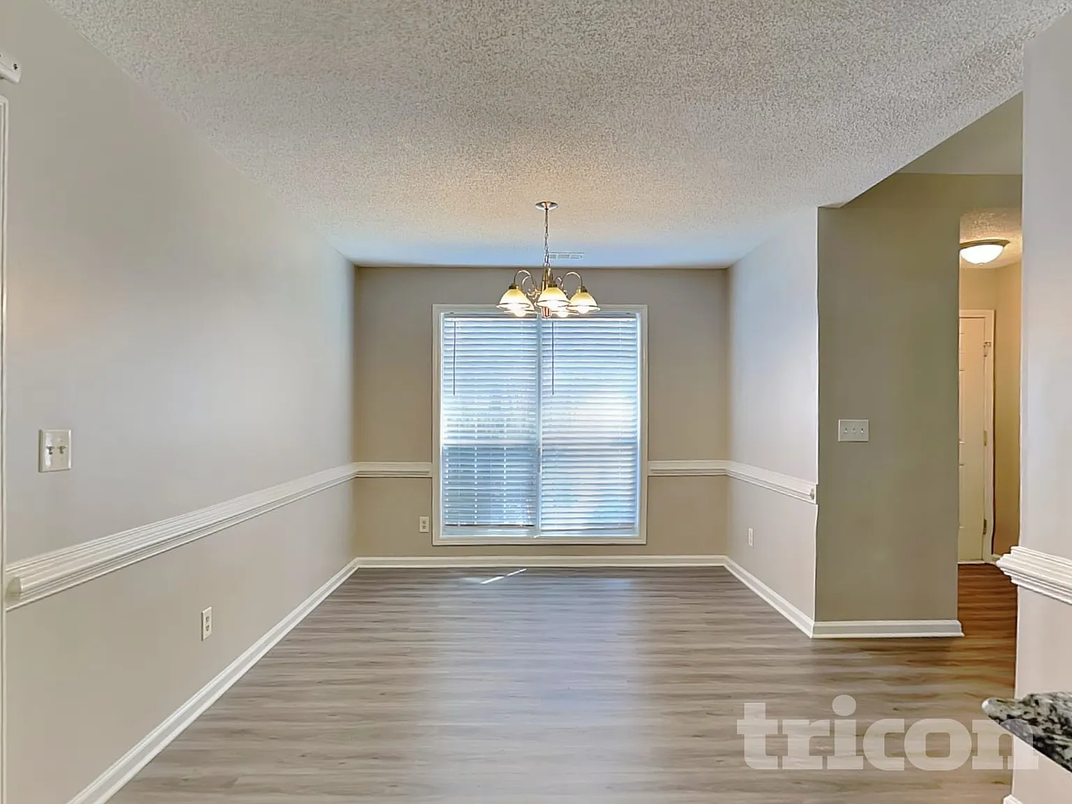 613 Lynchburg Street Hampton GA — Photo 4