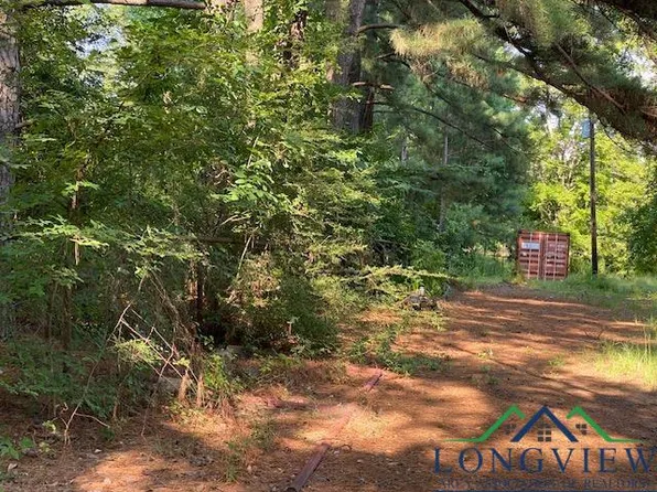 3787 Almond Rd, Big Sandy, TX 75755