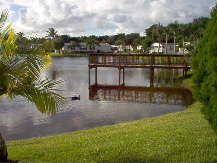 Lake view