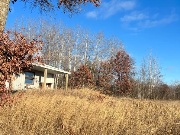 37649 Spruce Rd, Hillman, MN 56338