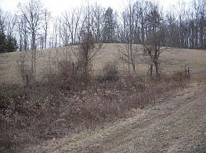5th image of 546 Venus Branch Ln