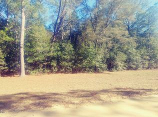 0 Scott Ave, Florahome, FL 32140