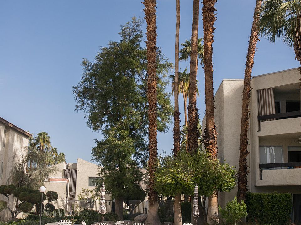 1st image of 1550 S Camino Real APT 319