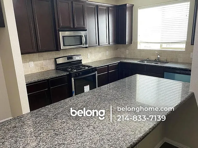 1512 Cockatiel Dr — Photo 16