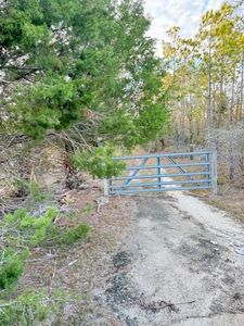 HWY 361, Steinhatchee, FL, 32359