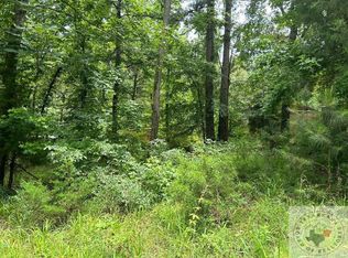 Navajo Dr, Avinger, TX 75630