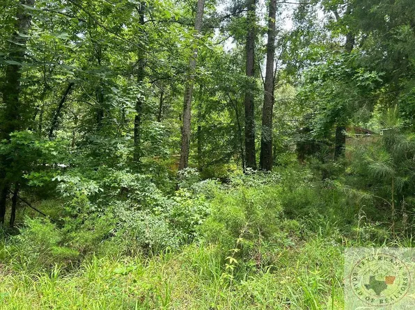 Navajo Dr, Avinger, TX 75630