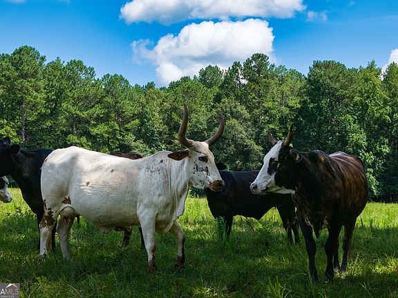 4th image of 0 Hines Rd