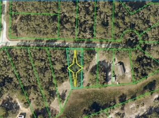 10 Long Cir, Webster, FL 33597