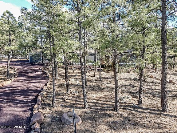 5th image of 1033 Pine Ridge Dr