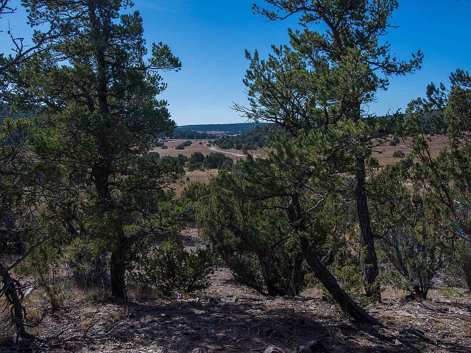 1st image of 58 Arroyo Salado #A