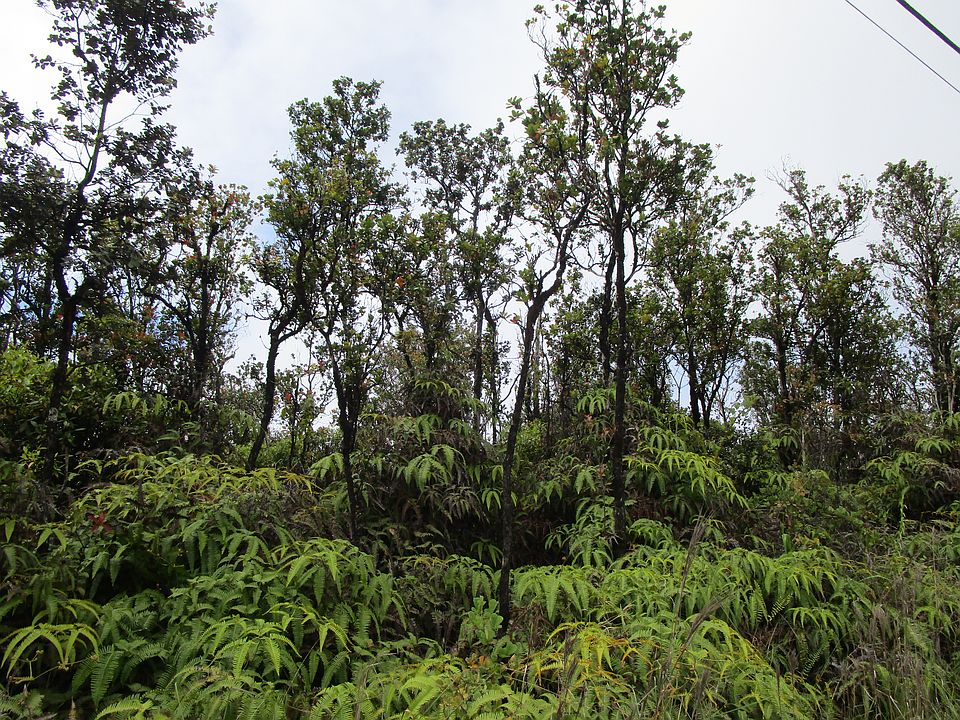 2nd image of Leila Rd Lot 12