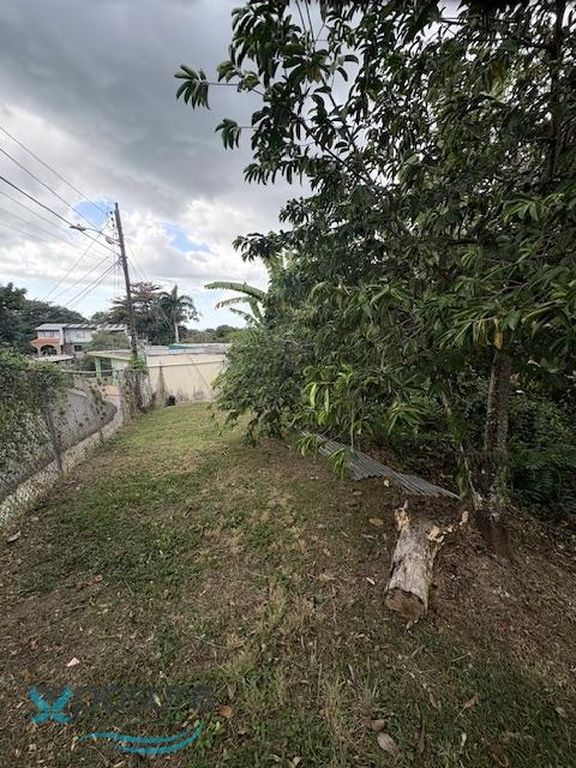8 Carrau #348, Mayaguez, PR - View 6