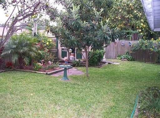 Yard View