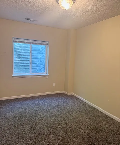 1024 N Cottage St — Photo 12