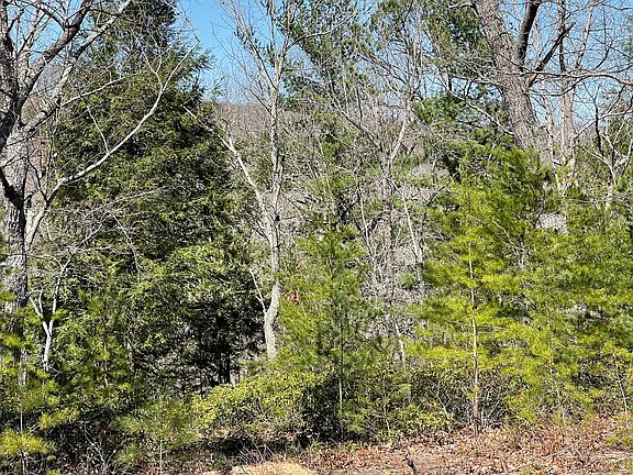 4th image of LOT 139 Noahs Knl