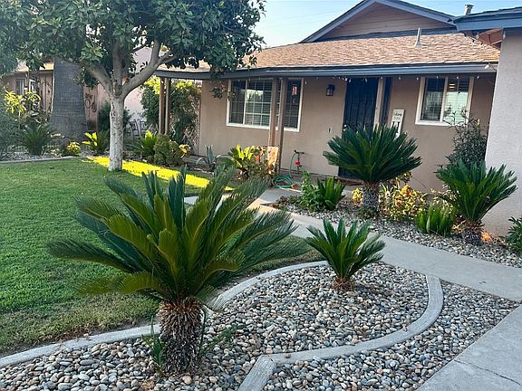 Front yard