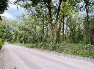 LOT 8 NW 67th Pl LOT 8, Bell, FL 32619