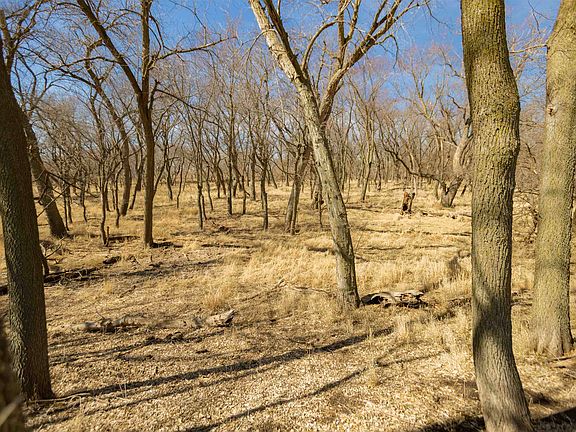 2nd image of County Road 2350