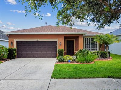 20244 Merry Oak Ave, Tampa, FL, 33647