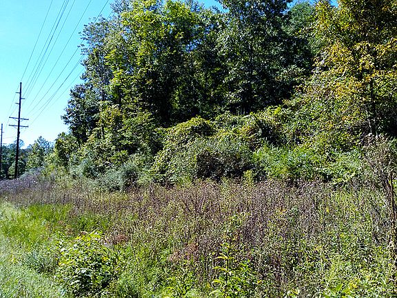 2nd image of 0 Strouds Run Road