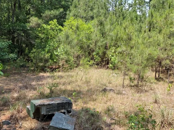 1083 Archer Ave, Manning, SC 29102