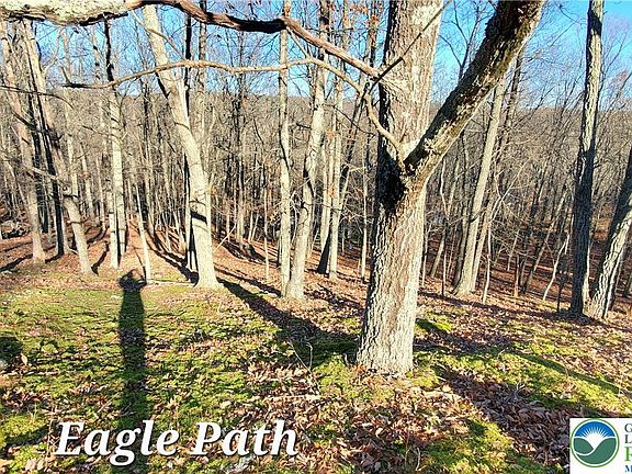 2nd image of 193 Eagle Path