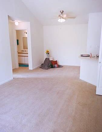 4th image of 2043 W Dunbarton Ct APT D