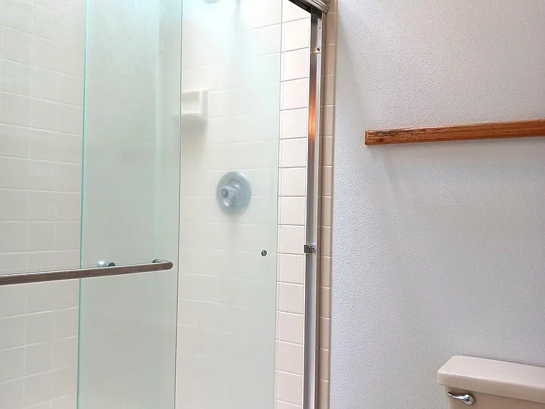 Master Bathroom Shower