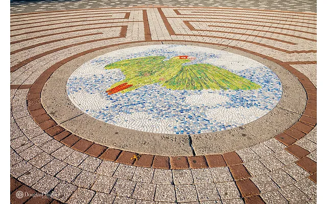 Sold by Douglas Elliman | media 27