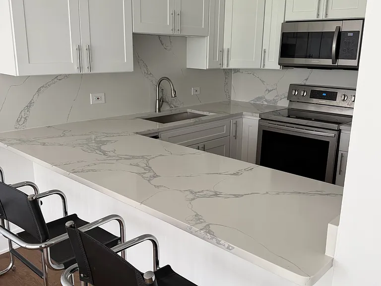 1540 N Lasalle St #403 — Photo 2
