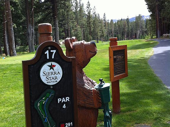 17 Tee