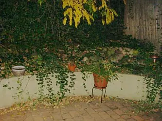 Rented by Centennial Properties NY