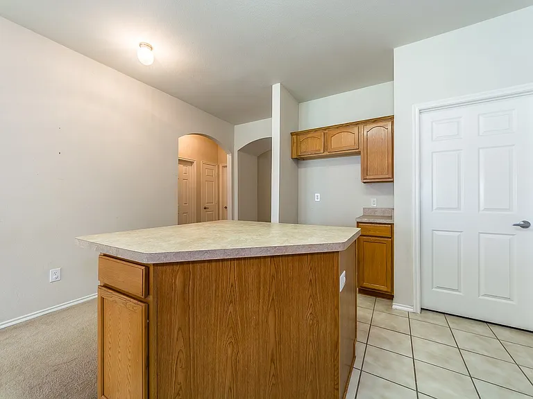 9924 Wild Ginger Dr — Photo 28