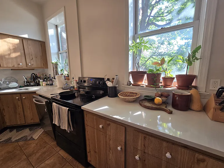1239 Buena Vista St #2 — Photo 8