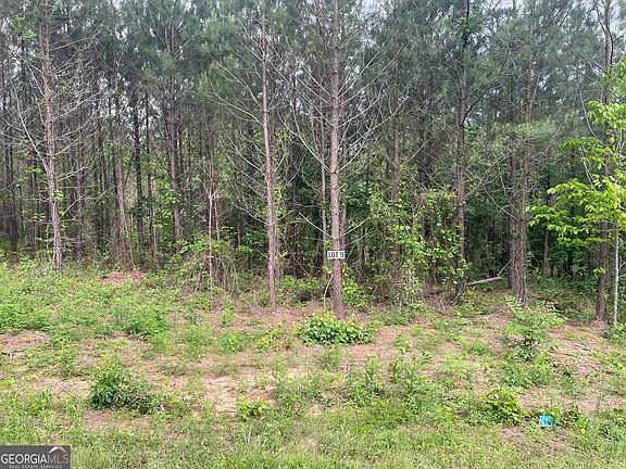 3rd image of 0 Bevis Rd Parcel 9