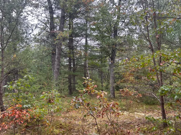 Richardson Trl, West Branch, MI 48661