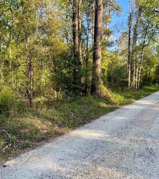 2nd image of County Road 4205