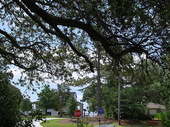 4th image of Lot 10 Cape Fear Drive