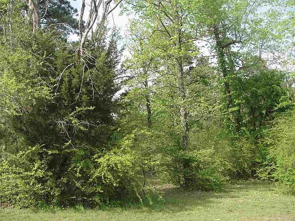 5th image of 1550 Moores Ln