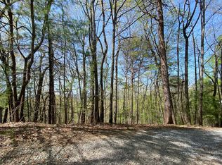 Mountain View Ct, Ellijay, GA 30536
