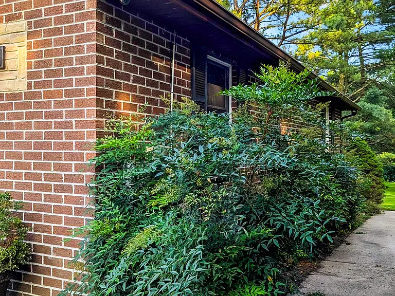 6636 Isle Of Skye Dr — Photo 42