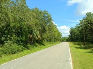 10.38AC NE 130th Ct Rd, Fort McCoy, FL 32134