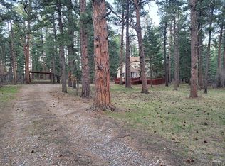 8329 Daisy Ln, Rye, CO 81069