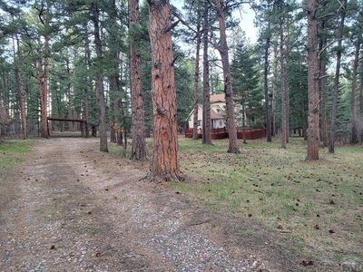 8329 Daisy Ln, Rye, CO, 81069
