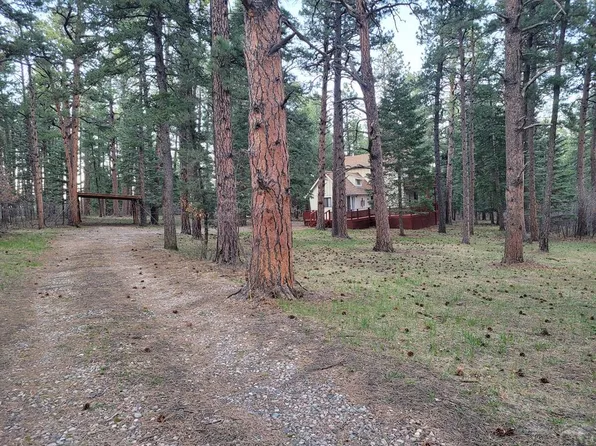 8329 Daisy Ln, Rye, CO 81069