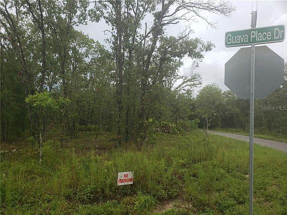 5th image of LOT 7 Guava Place Pass